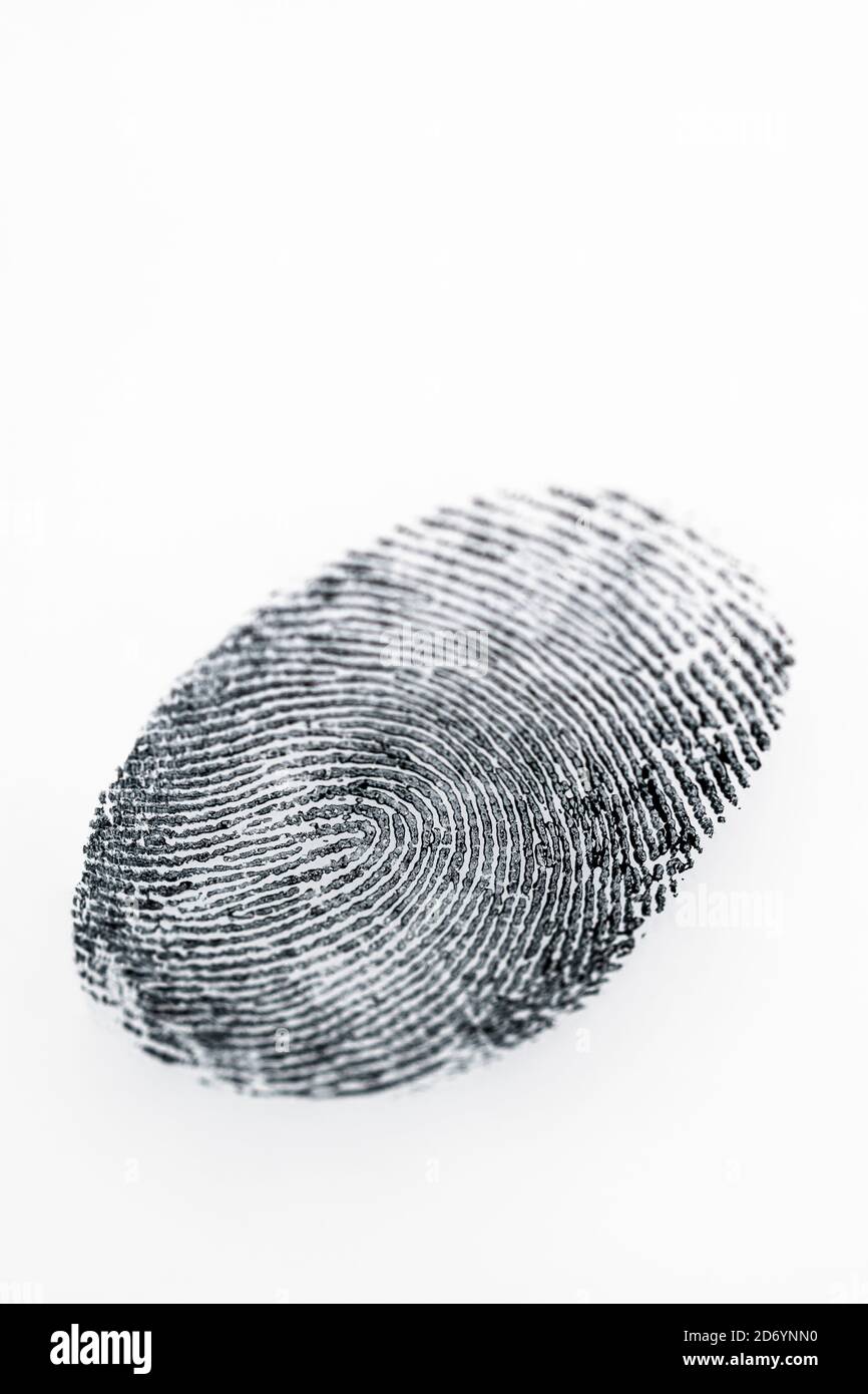 Impronta digitale su uno sfondo bianco. Foto Stock
