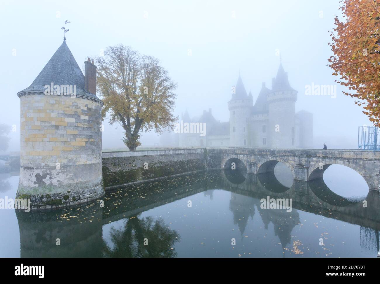 Francia, Loiret, Valle della Loira Patrimonio Mondiale dell'UNESCO, Sully sur Loire, Chateau de Sully sur Loire, XIV-XVIII secolo // Francia, Loiret (45) Foto Stock