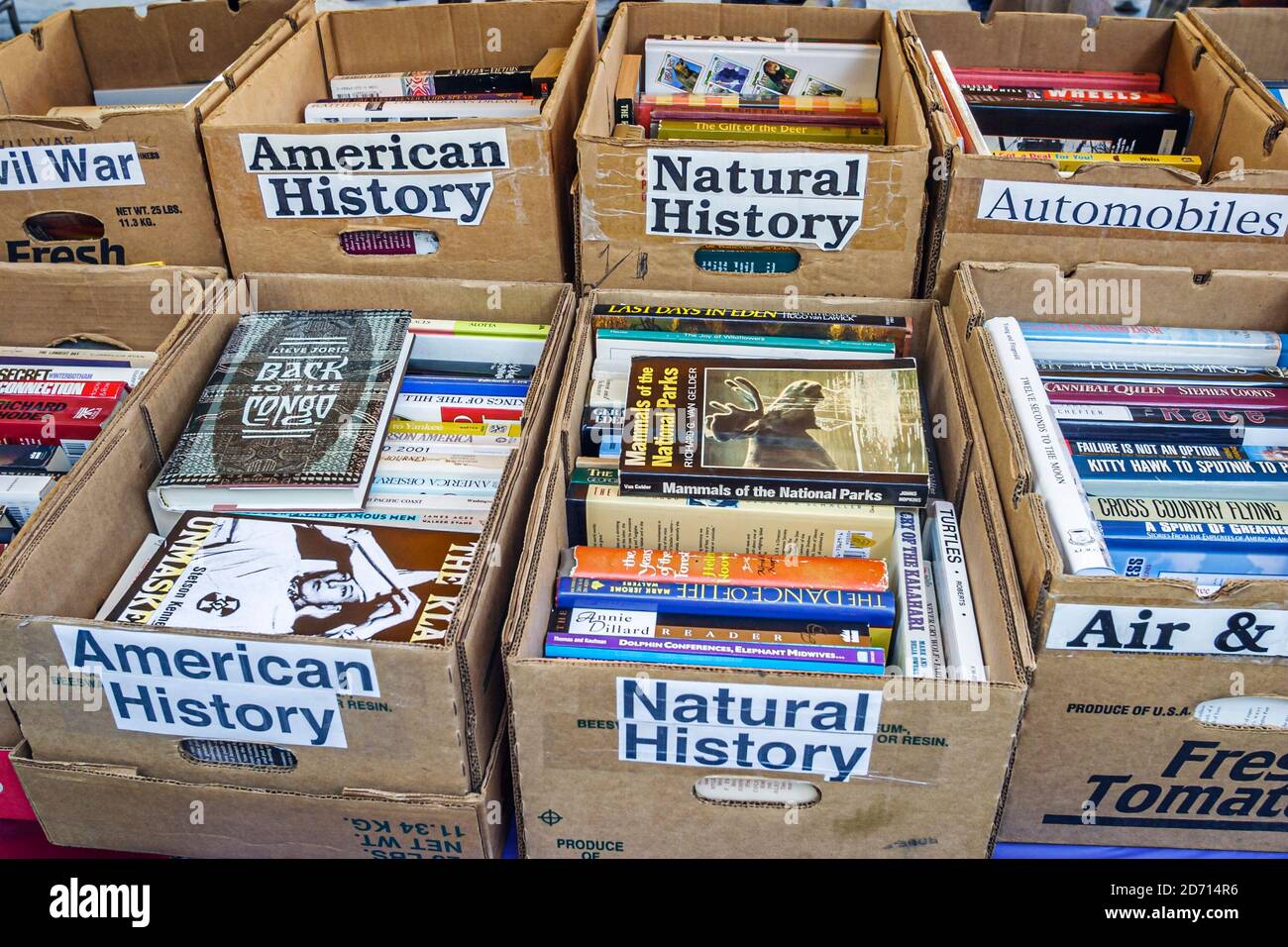 Miami Florida,International Book Fair festival annuale vendita libri mostra organizzato scatole Storia Naturale americana, Foto Stock