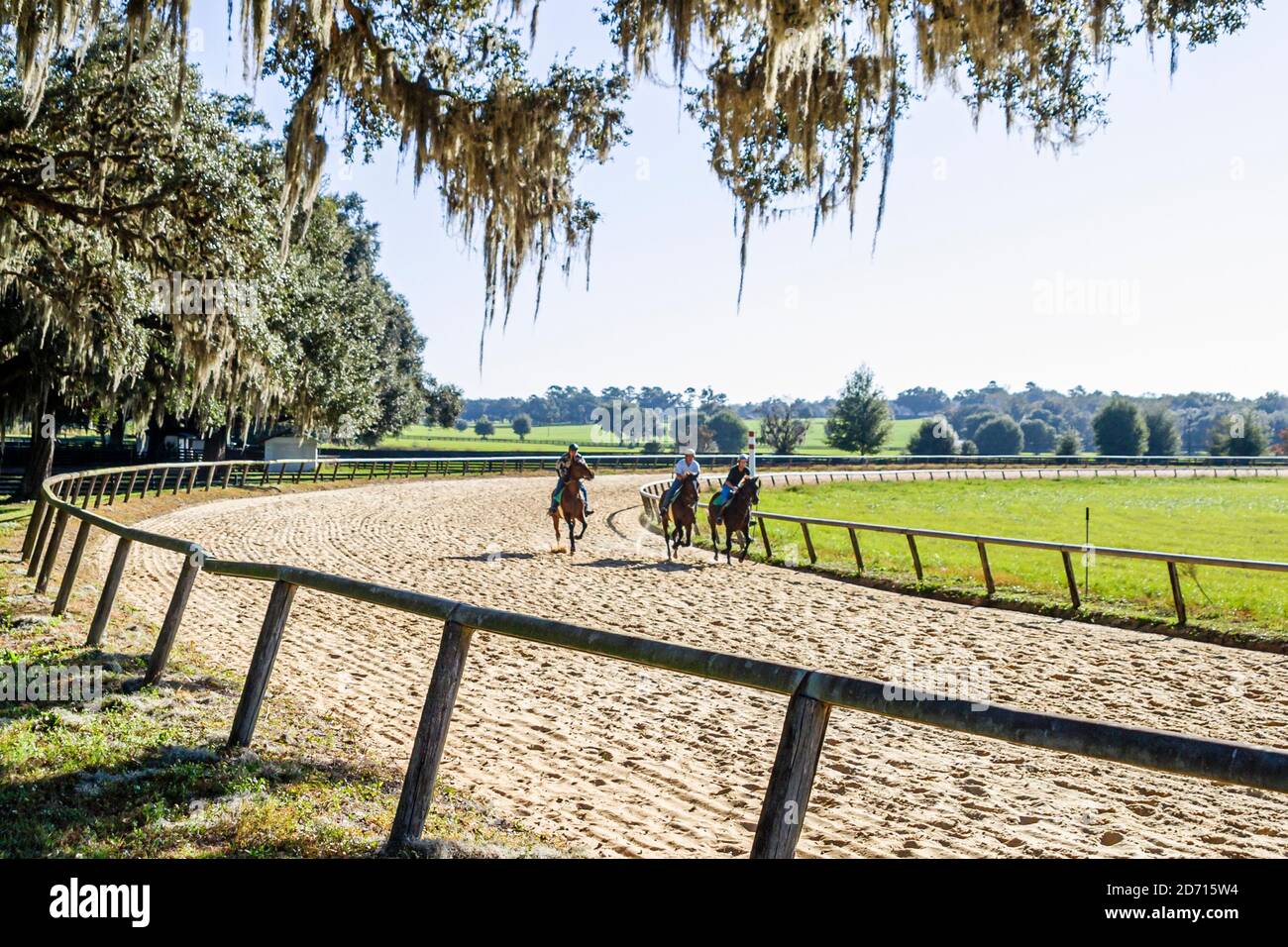 Florida Ocala Racehorse Stud stalla formazione yearling cavalli da corsa purosangue, jockey jockeys rider rider rider sterrato pista, Foto Stock