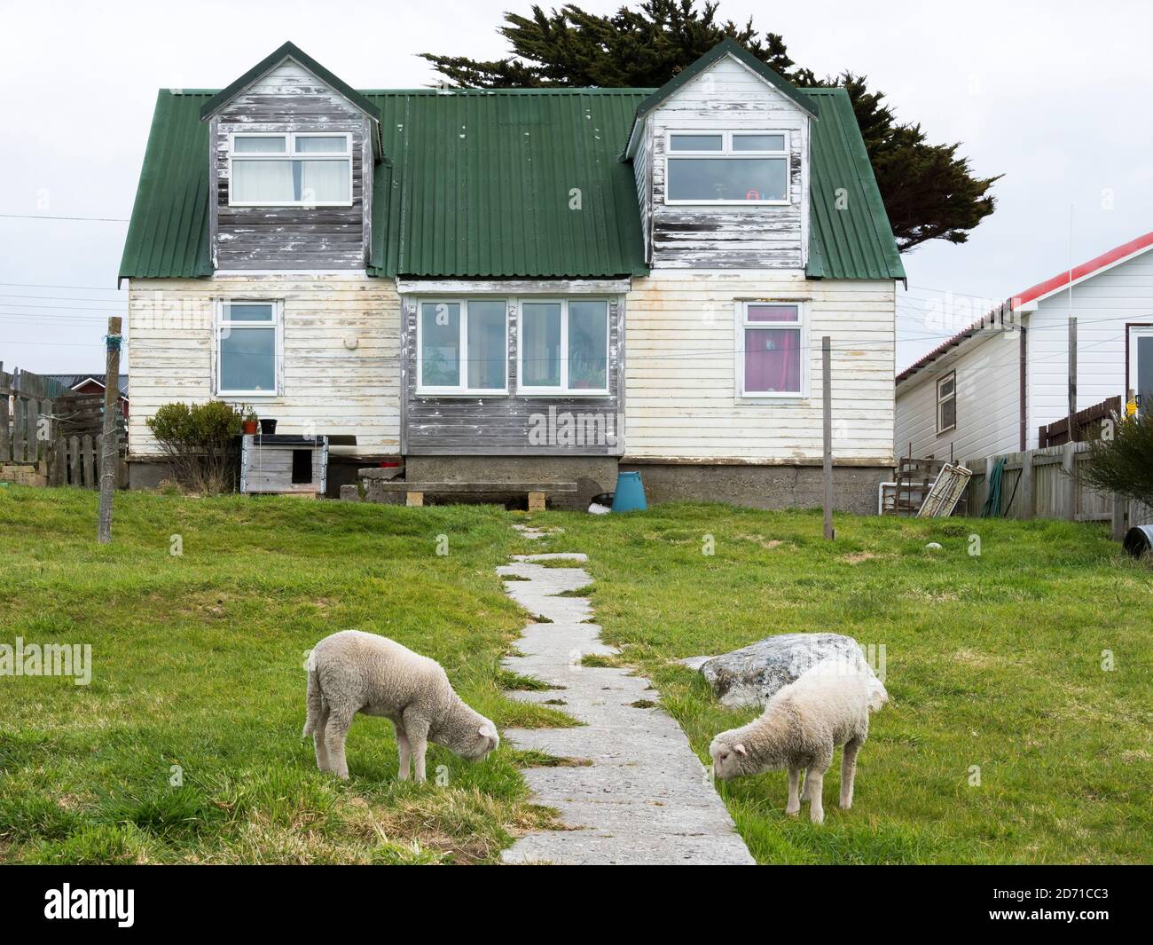 Colonists cottage, la città vecchia di Stanley, capitale delle Isole Falkland. Sud America, Isole Falkland, novembre Foto Stock