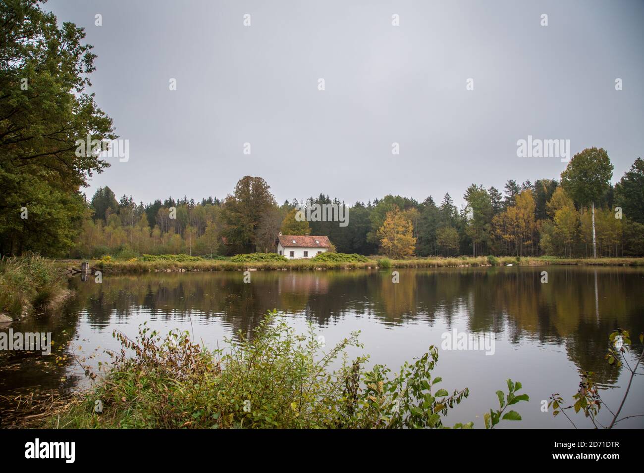 Lago in autunno. Waldviertel, Austria, Europa Foto Stock