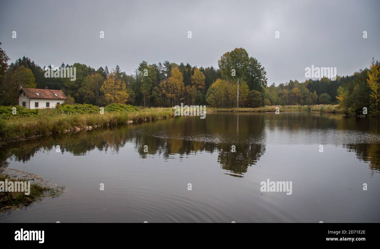 Lago in autunno. Waldviertel, Austria, Europa Foto Stock