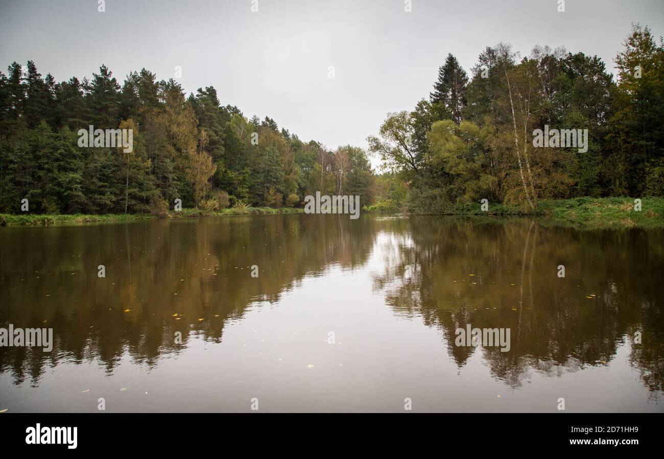 Fiume in autunno, Braunaubach (Fischersteig). Waldviertel, Austria, Europa Foto Stock