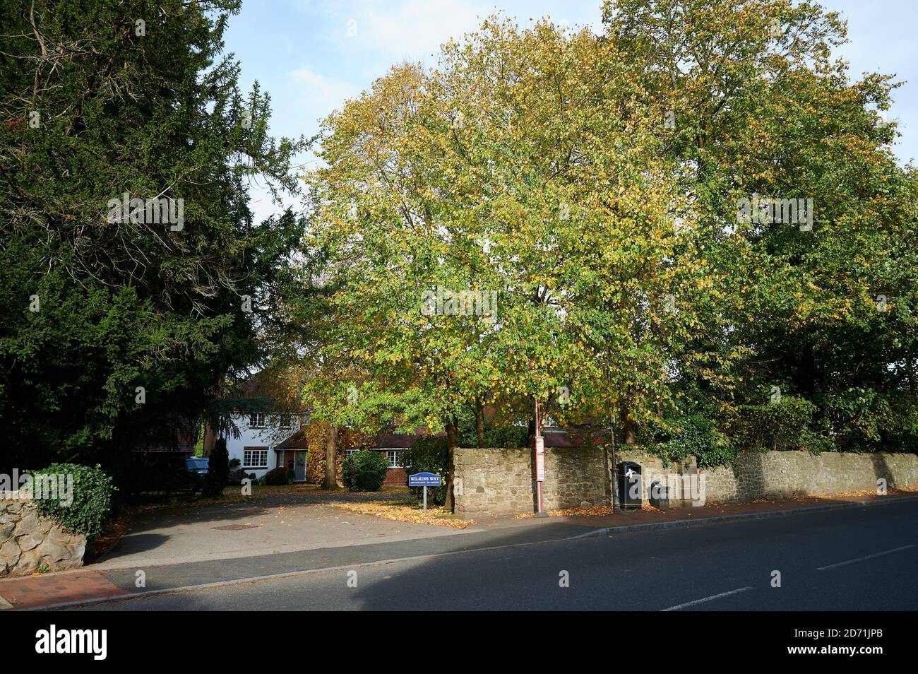 Brasted, Kent, Regno Unito, autunno 2020 Foto Stock