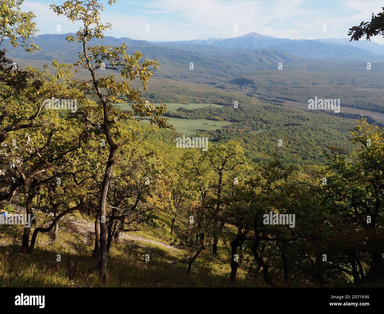 Sfondo naturale vista dalla montagna alla foresta sottostante, natura della Russia. Foto Stock