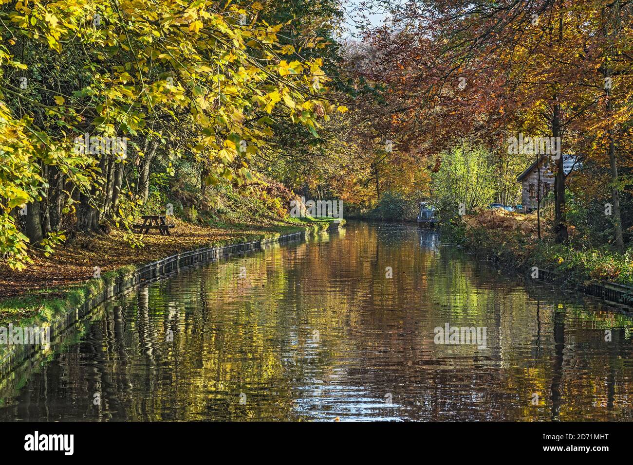 Llangollen Canal in autunno a sud-est di Ellesmere Shropshire UK Novembre 2019 6231 Foto Stock
