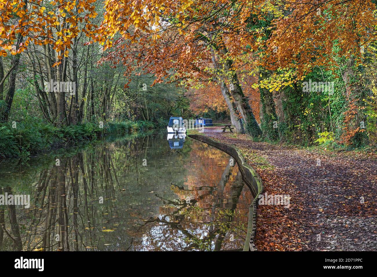 Llangollen Canal in autunno a sud-est di Ellesmere Shropshire UK Novembre 2019 7222 Foto Stock