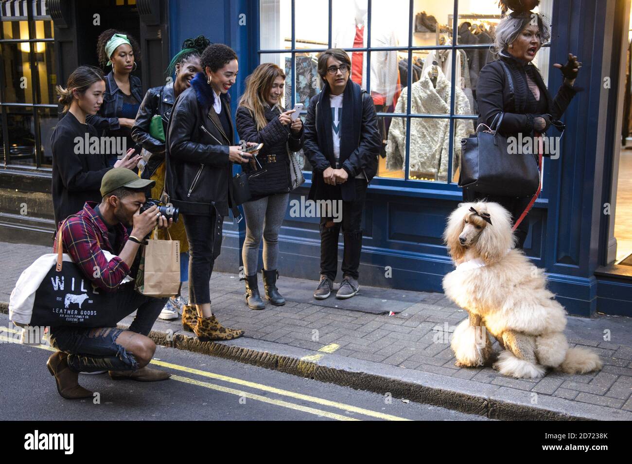 I passanti e i blogger scattano foto di un cane di moda a Soho, durante la London Fashion Week, al BFC Show Space, Brewer Street Car Park, Londra. Data immagine: Sabato 17, 2016. Il credito fotografico dovrebbe essere: Matt Crossick/ EMPICS Entertainment. Foto Stock