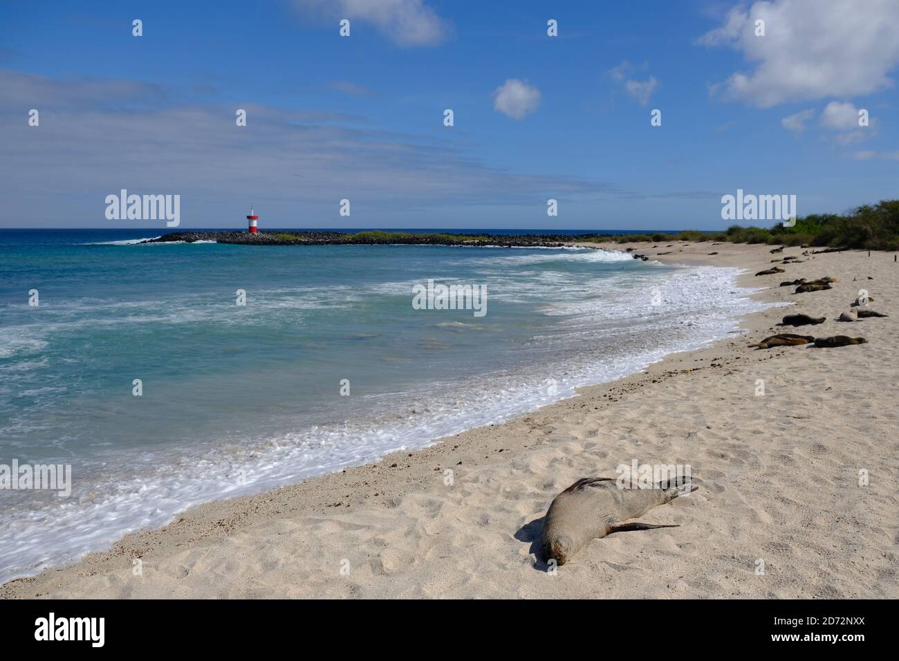 Ecuador Isole Galapagos - Isola di San Cristobal Spiaggia di Punta Carola Con foche e faro Faro Punta Carola Foto Stock
