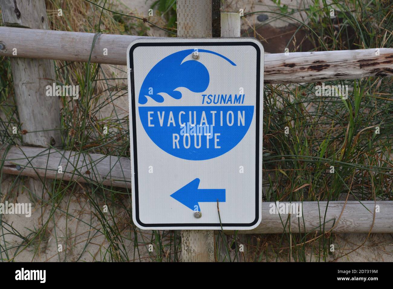 Cartello segnaletico dello tsunami, Cape Lookout state Park, Oregon, USA. Foto Stock