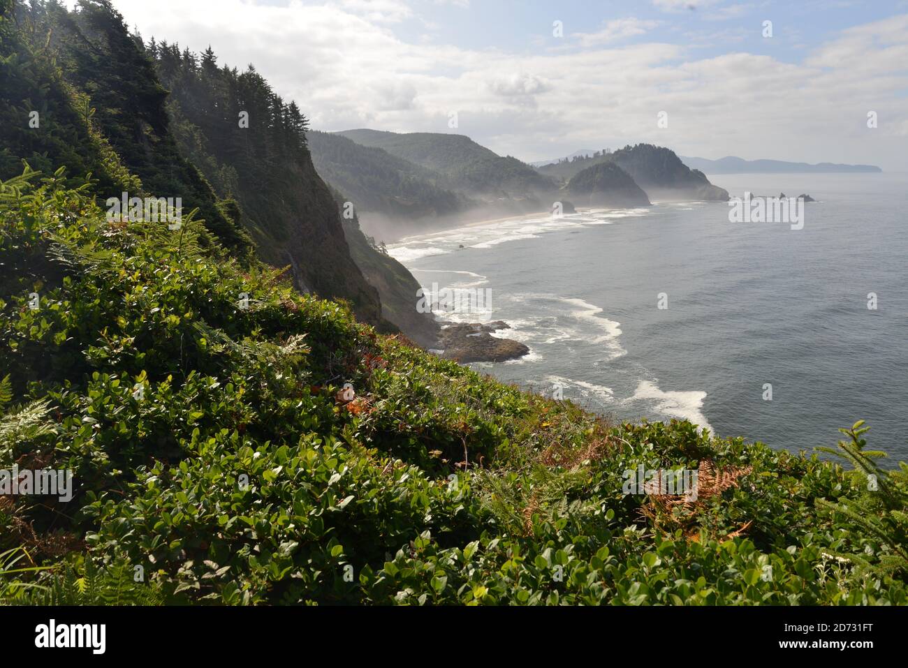 Vista sull'oceano Pacifico da Ecola state Park, Oregon Coast, Pacifico nord-occidentale, Stati Uniti. Foto Stock