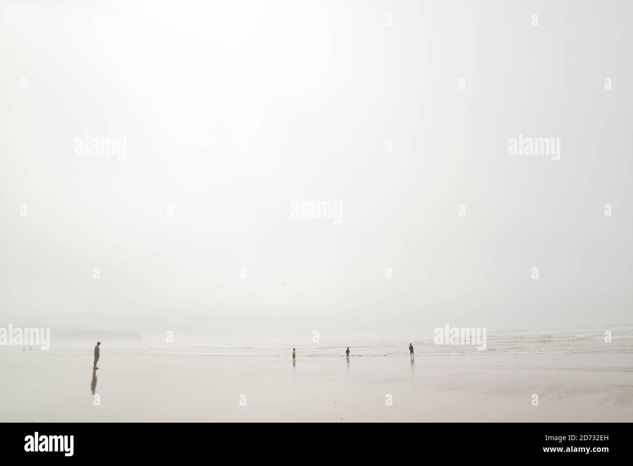 Misty Foggy Day al Cape Lookout state Park, Oregon, USA; Oceano Pacifico. Foto Stock