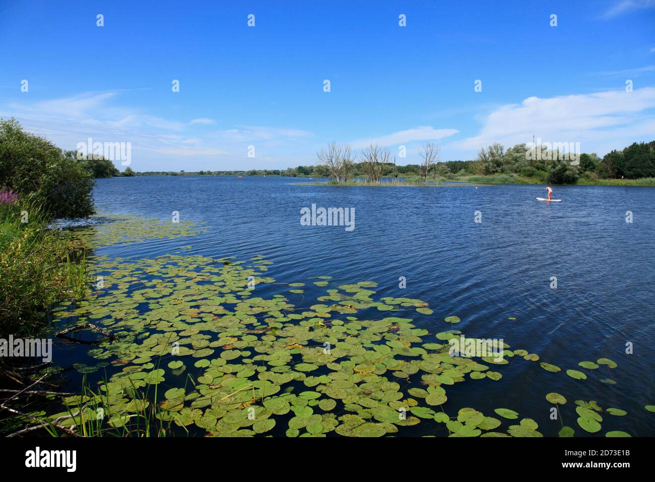 Lago Gartow, Gartow, Lüchow-Dannenberg, bassa Sassonia, GERMANIA, Europa Foto Stock