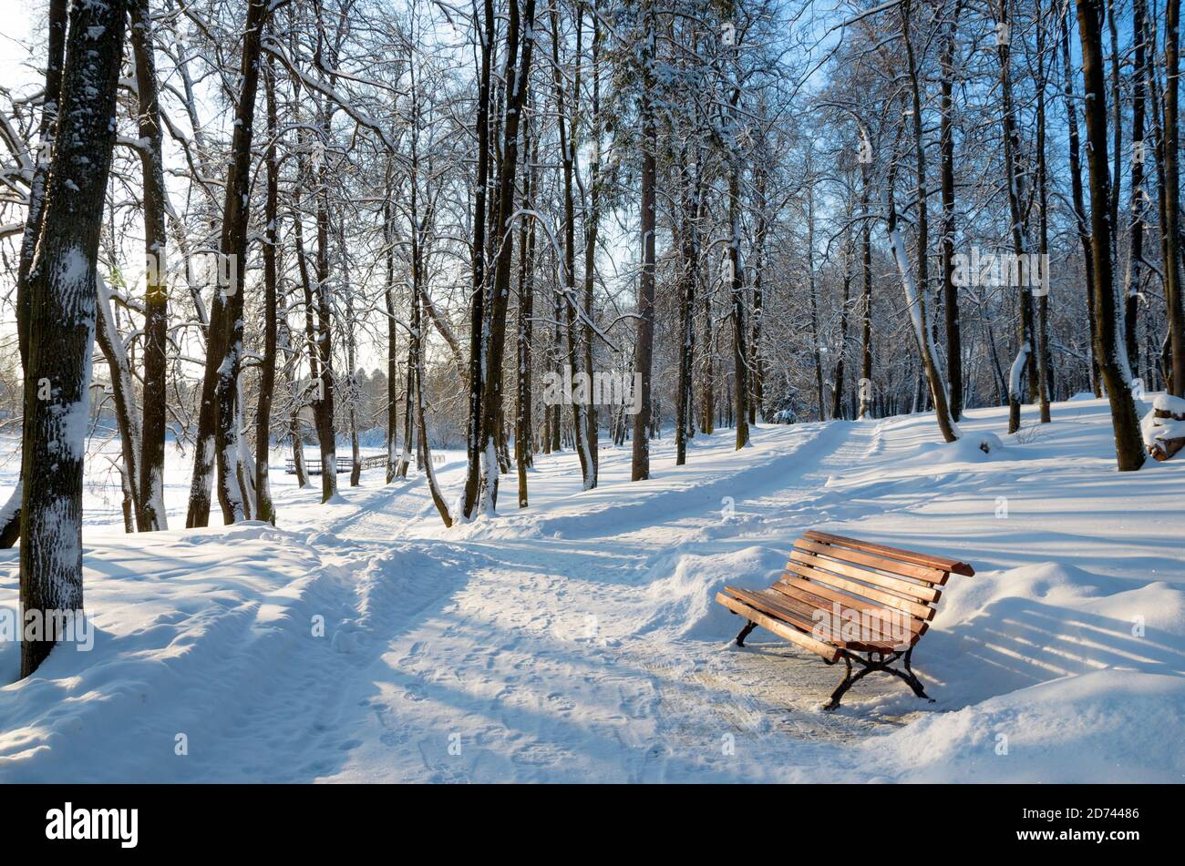 Scenario invernale soleggiato con strada e panca nel parco dopo la nevicata pesante Foto Stock
