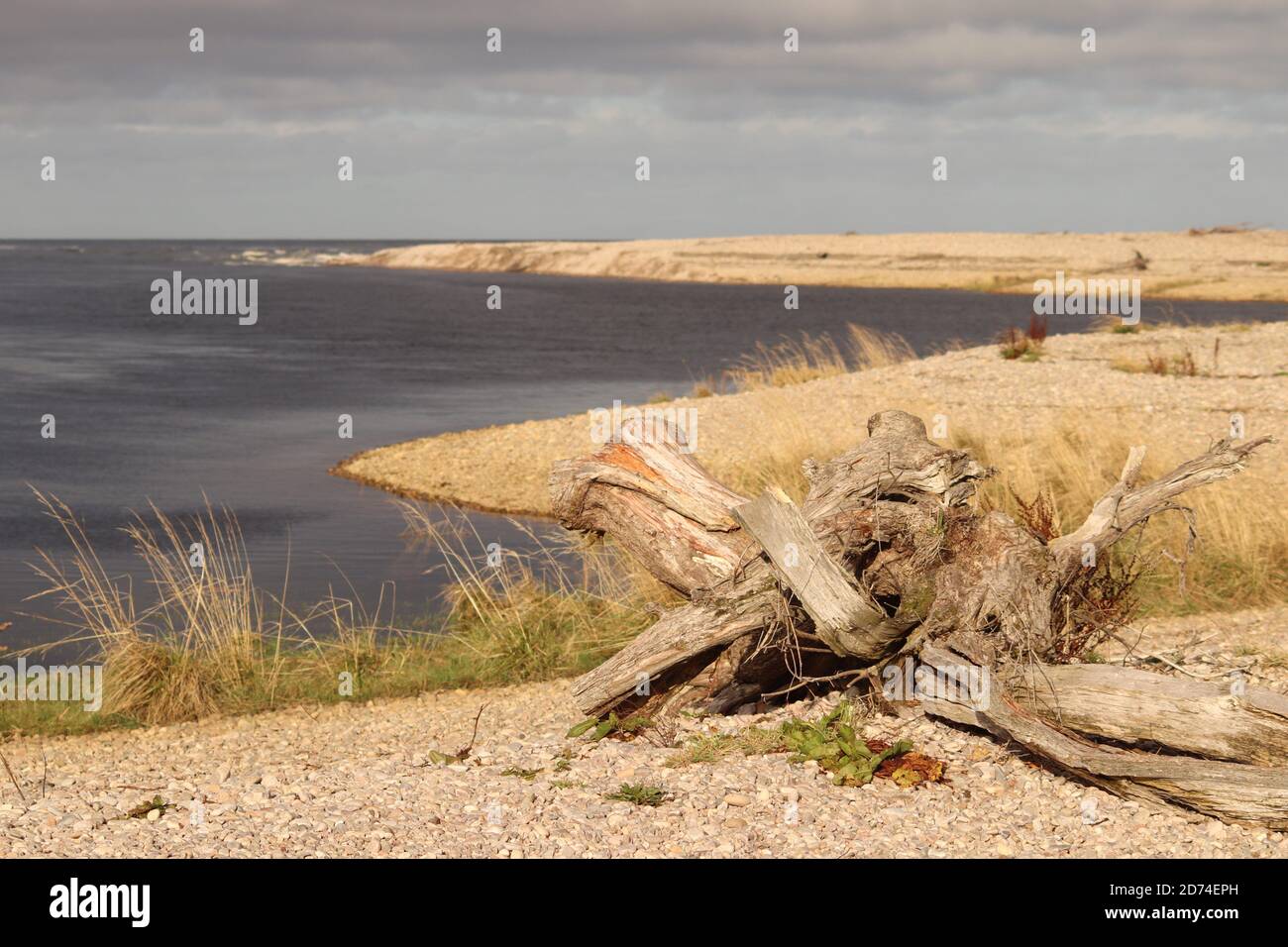 Spey Bay, Scozia Foto Stock