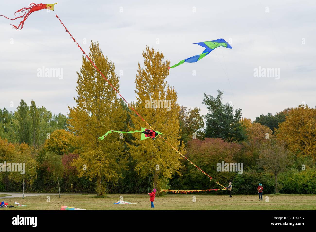 20 ottobre 2020, Sassonia-Anhalt, Magdeburgo: Amici kite del 'Magdeburger Elbwind' hanno lasciato i loro aquiloni volare in una zona verde. Gli aquiloni sono progettati e costruiti dagli amici kite stessi. Il gruppo è composto da 9 appassionati di aquiloni con oltre 500 aquiloni. Nei prossimi giorni sarà molto più caldo nella regione intorno alla capitale dello stato, ma ci sarà una brezza leggera costante. Per volare un aquilone avete bisogno di una velocità del vento di almeno uno a tre forze del vento scala Beaufort. Nel mezzo della settimana il vento può essere di 10 chilometri all'ora, che sarebbe sufficiente per volare un aquilone. Foto: Klaus-Dietmar Gabbert/dpa-Z Foto Stock