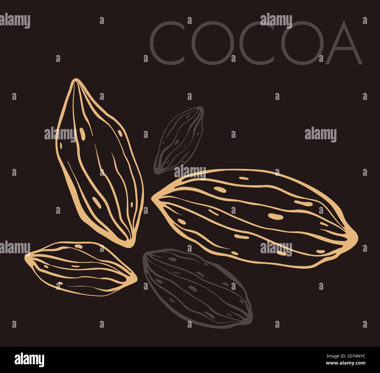 Illustrazione dei chicchi di cacao. Illustrazione a forma di incisione. Illustrazione Vettoriale