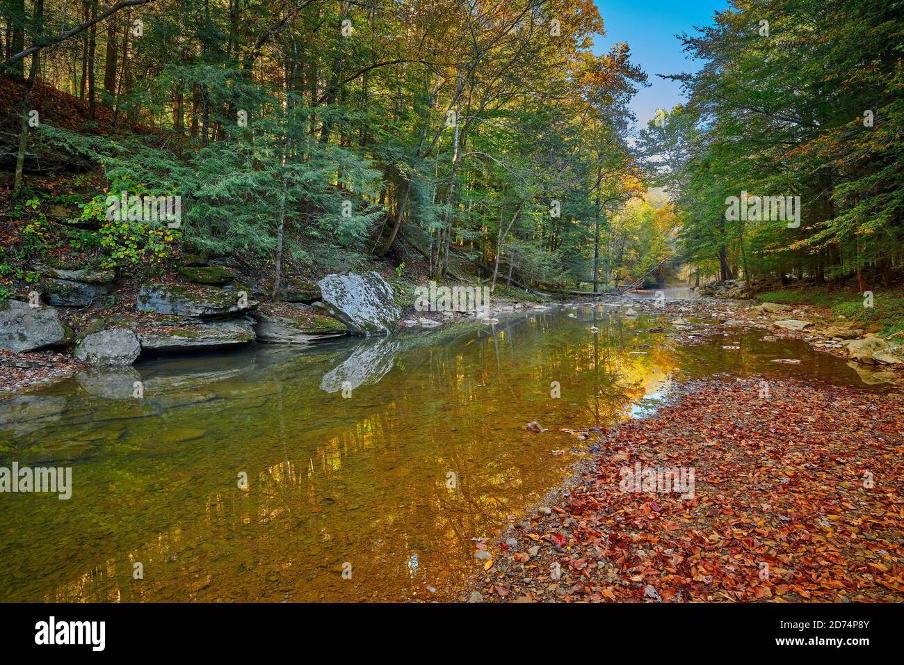 War Creek vicino al campo di battaglia di Turkey Foot nella foresta nazionale Daniel Boone vicino a McKee, Kentucky. Foto Stock