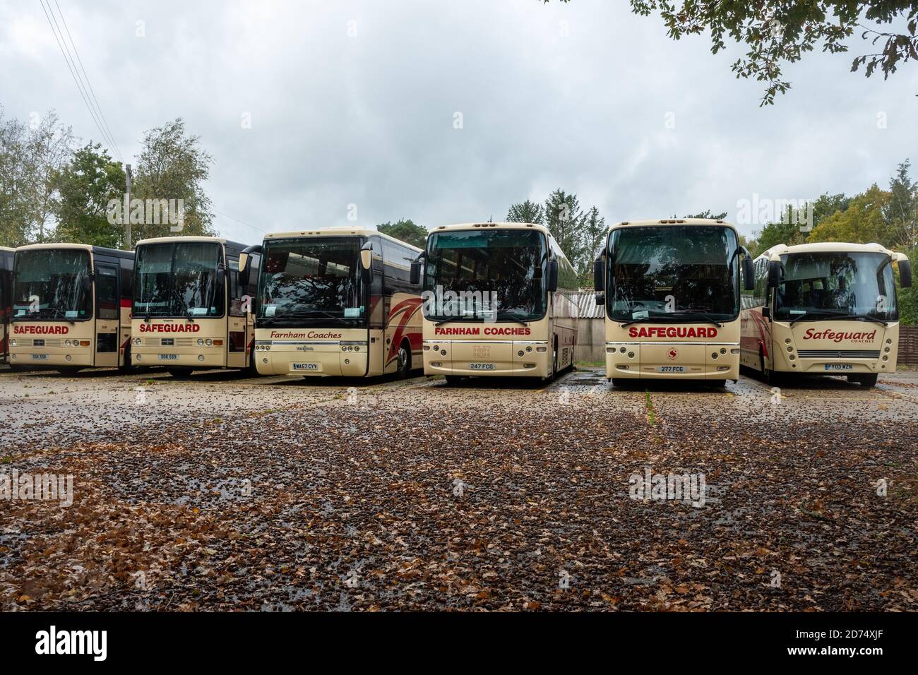 Surrey, Regno Unito. 20 Ottobre 2020. Una fila di pullman appartenenti all'operatore Farnham Coaches parcheggiati in un cortile chiuso a chiave. La pandemia del Coronavirus Covid-19 ha portato a un numero notevolmente ridotto di viaggi in pullman e di vacanze che si svolgono quest'anno a causa di problemi di distanza sociale sui trasporti pubblici, e molti operatori di pullman sono in difficoltà finanziarie. Il programma di furlough del governo britannico ha sostenuto il personale fino ad ora e li ha mantenuti in occupazione, ma sta per terminare alla fine di questo mese. Foto Stock