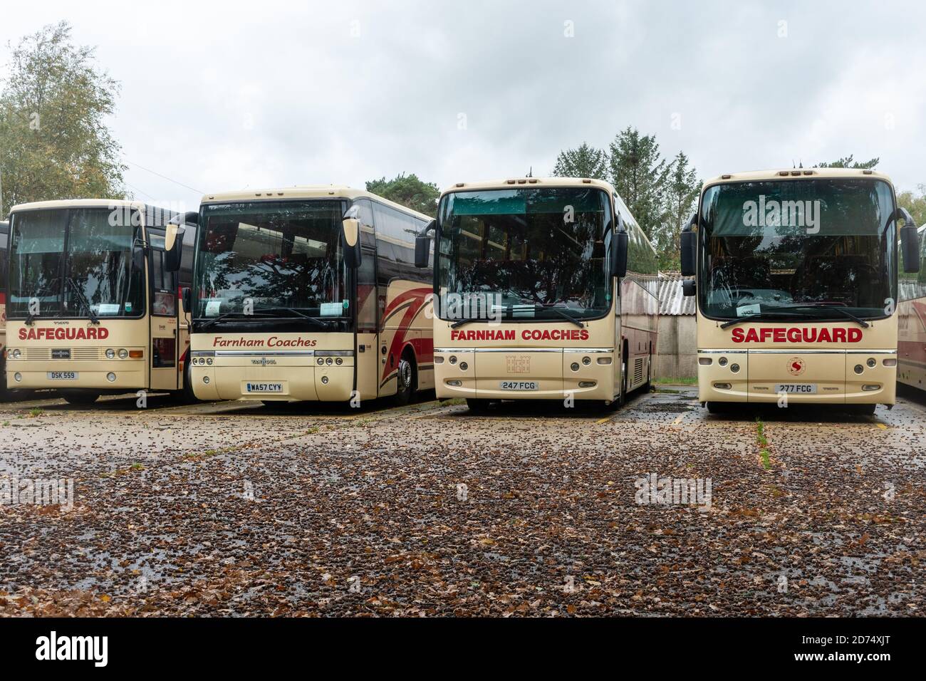Surrey, Regno Unito. 20 Ottobre 2020. Una fila di pullman appartenenti all'operatore Farnham Coaches parcheggiati in un cortile chiuso a chiave. La pandemia del Coronavirus Covid-19 ha portato a un numero notevolmente ridotto di viaggi in pullman e di vacanze che si svolgono quest'anno a causa di problemi di distanza sociale sui trasporti pubblici, e molti operatori di pullman sono in difficoltà finanziarie. Il programma di furlough del governo britannico ha sostenuto il personale fino ad ora e li ha mantenuti in occupazione, ma sta per terminare alla fine di questo mese. Foto Stock