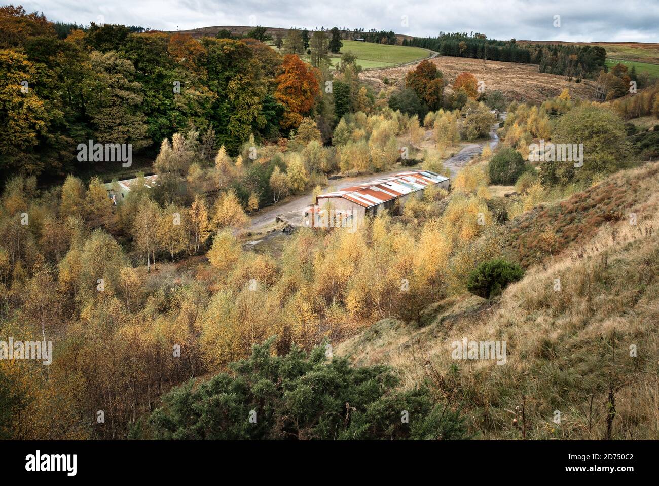 Vecchi edifici in cava nel bosco autunnale a Stanhope, Weardale Foto Stock Vecchi edifici in cava nel bosco autunnale a Stanhope, Weardale Foto Stock