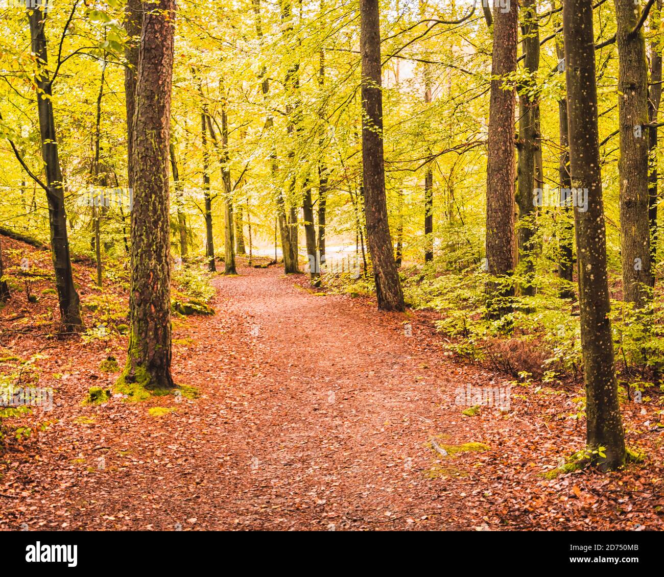 Il percorso colorato verso la felicità.. Goteborg, Svezia Foto Stock