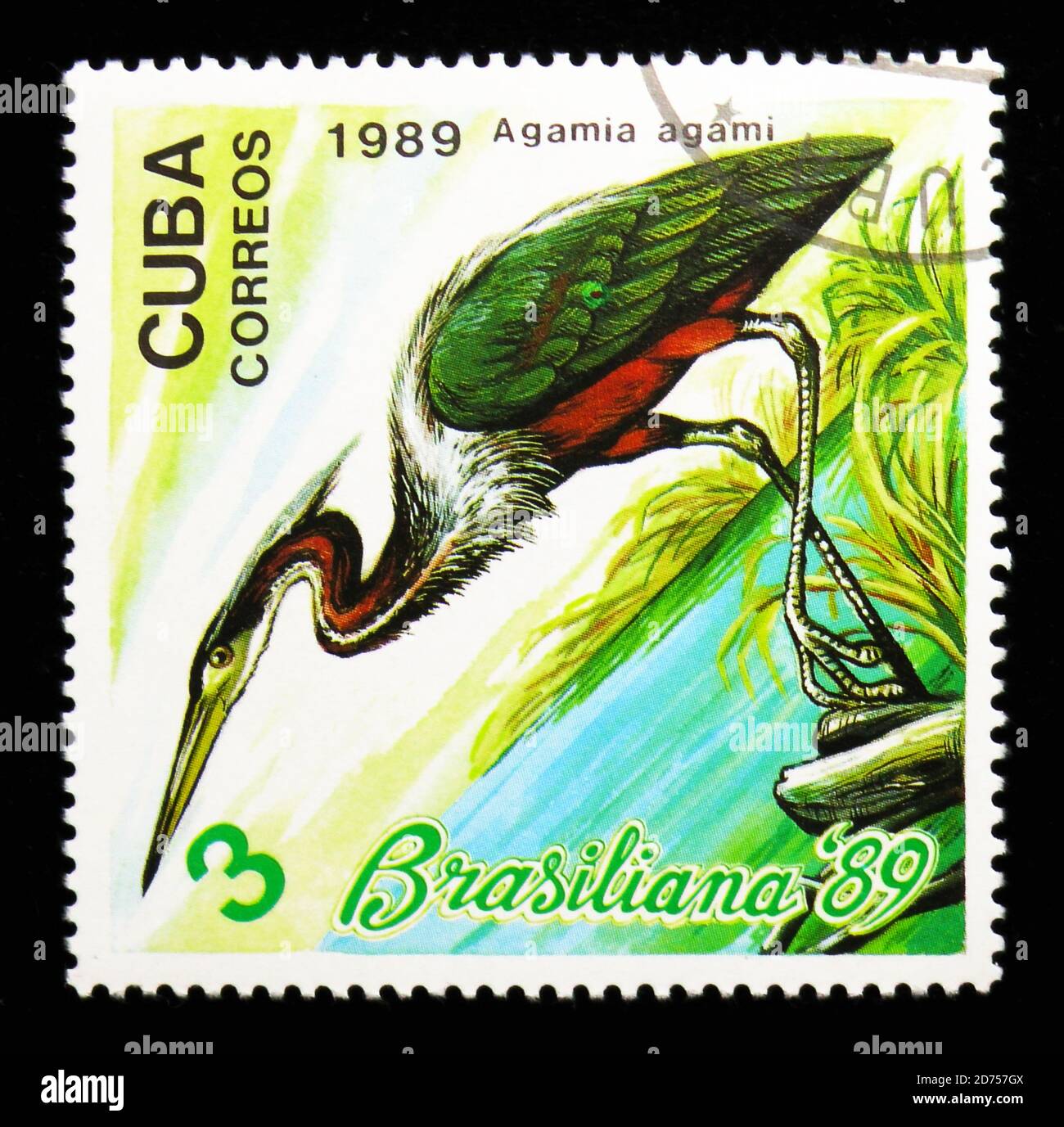 MOSCA, RUSSIA - 25 NOVEMBRE 2017: Un francobollo stampato a Cuba mostra Agami Heron (Agamia agami), Filatelica mostra Brasiliana - 89 serie, circa 1989 Foto Stock