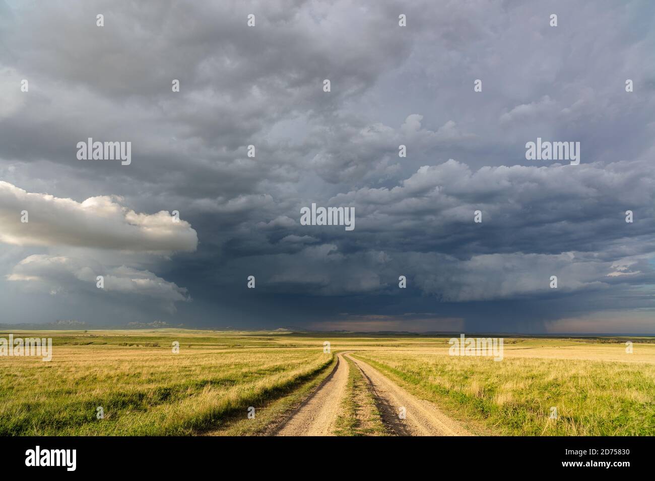 Paesaggio panoramico del Montana e strada sterrata attraverso praterie nelle grandi pianure con un cielo tempestoso vicino Ekalaka Foto Stock