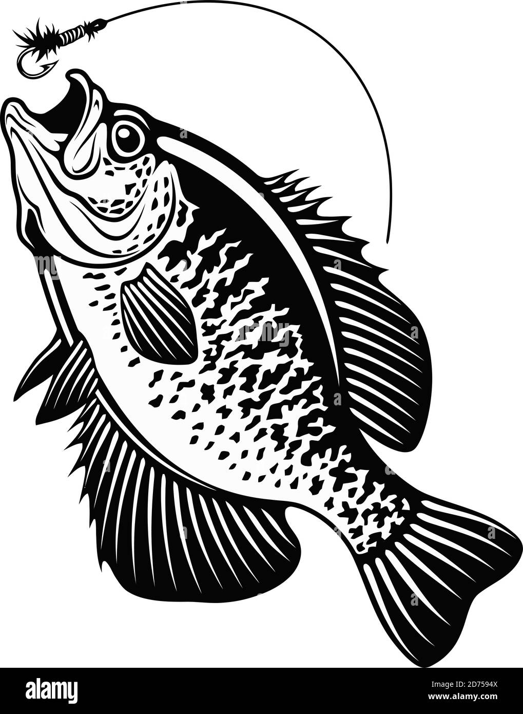 Pesce crappie bianco - illustrazione vettoriale in bianco e nero Illustrazione Vettoriale