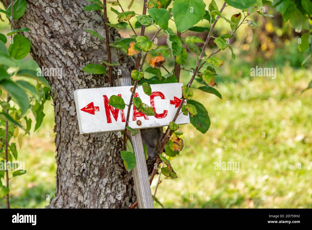 Un segno fatto a mano che indica dove le mele Macintosh si trovano in un frutteto Vermont. Foto Stock