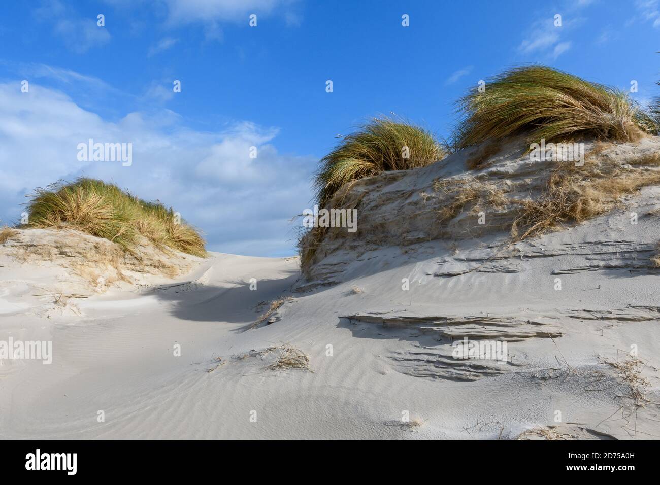 Dune del nord Isola Frisone Amrum in Germania Foto Stock