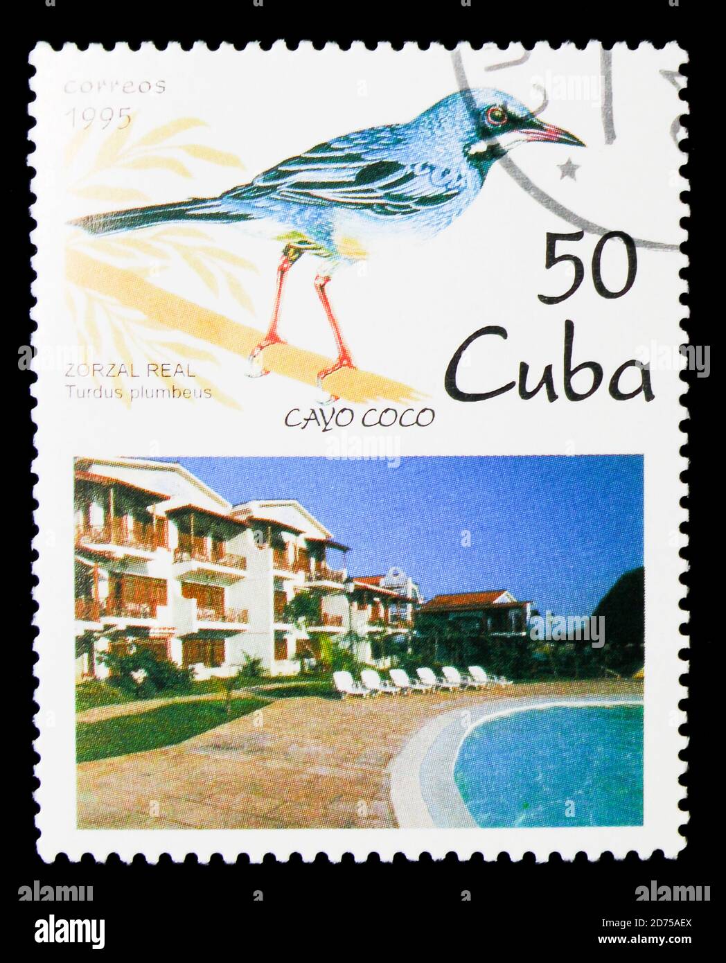 MOSCA, RUSSIA - 25 NOVEMBRE 2017: Un francobollo stampato a Cuba mostra la Trush a zampa rossa (Turdus plumbeus), Cayo Coco e la serie di uccelli locali, circa 1999 Foto Stock