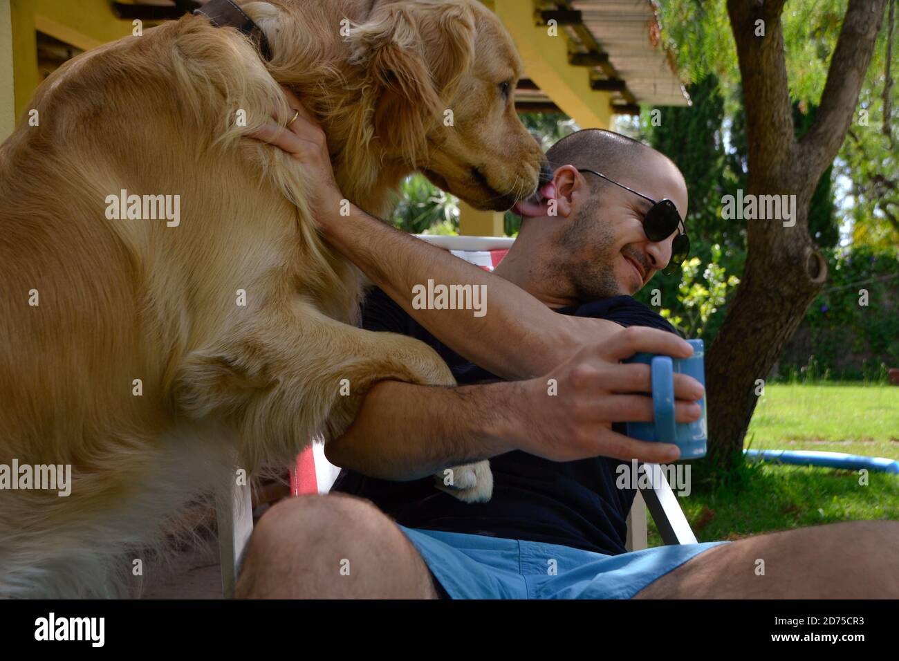 Cane d'oro che lecca un essere umano Foto Stock