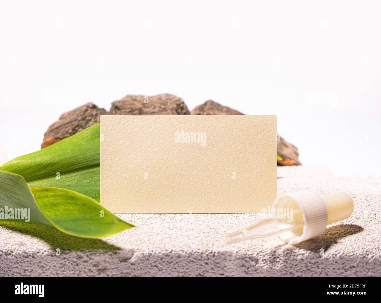 Cosmetologia biglietto da visita mock up. Stile eco-naturale. Cemento e foglia verde. Scheda clinica di bellezza. Stile di vita fermo. Sfondo bianco Foto Stock