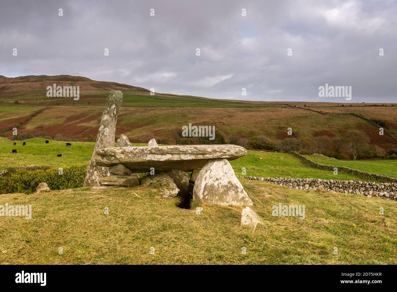 Cairn Holy II chambered cairn vicino a Gatehouse of Fleet Foto Stock