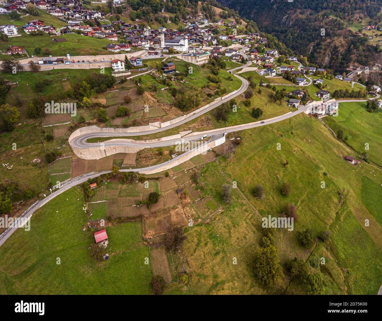 Coltivazione, raccolta e lavorazione dello zafferano a Mund, Naters, Svizzera Foto Stock
