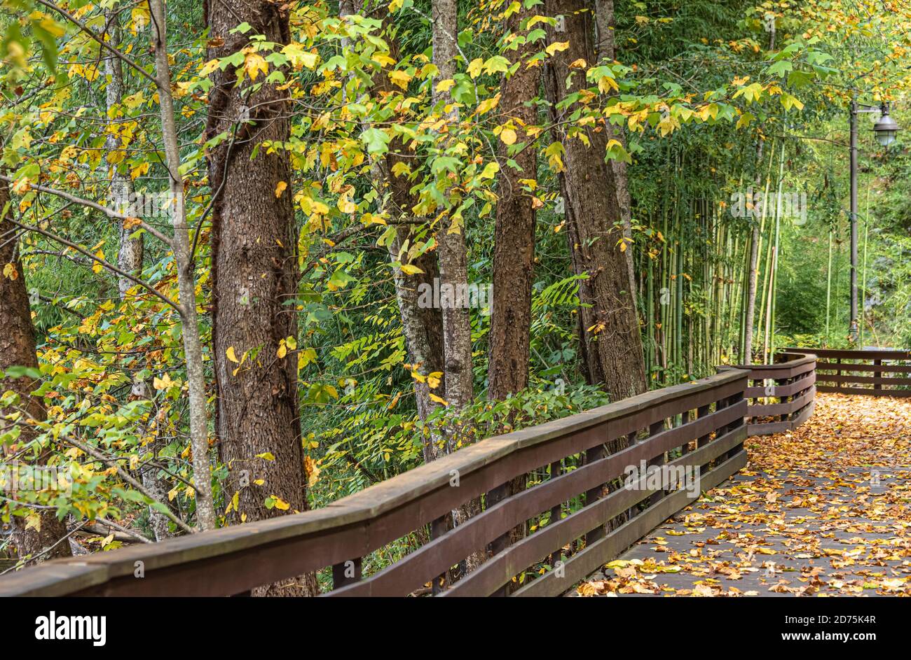 Sentiero per passeggiate all'Oconaluftee Islands Park a Cherokee, North Carolina. (STATI UNITI) Foto Stock