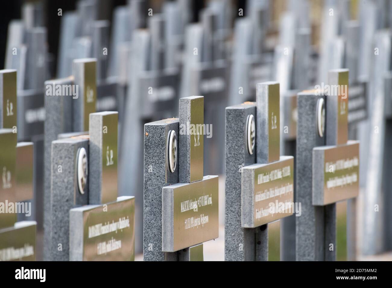 Una delle 30 tombe di massa di almeno 12.000 a 14.000 intellettuali polacchi (attivisti nazionali, insegnanti, sacerdoti) di Kaszuby e Pomerania, extermina Foto Stock