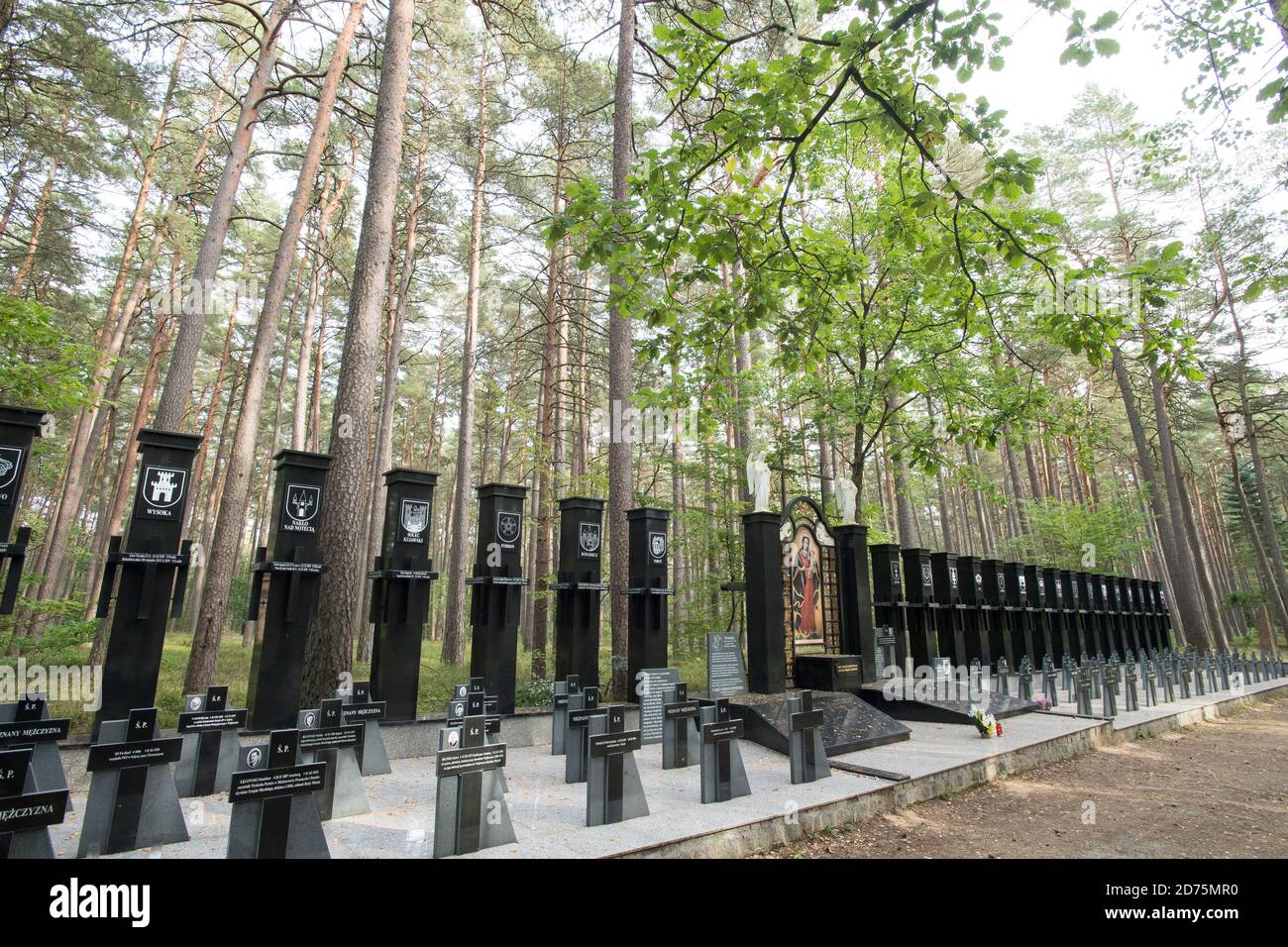 Una delle 30 tombe di massa di almeno 12.000 a 14.000 intellettuali polacchi (attivisti nazionali, insegnanti, sacerdoti) di Kaszuby e Pomerania, extermina Foto Stock