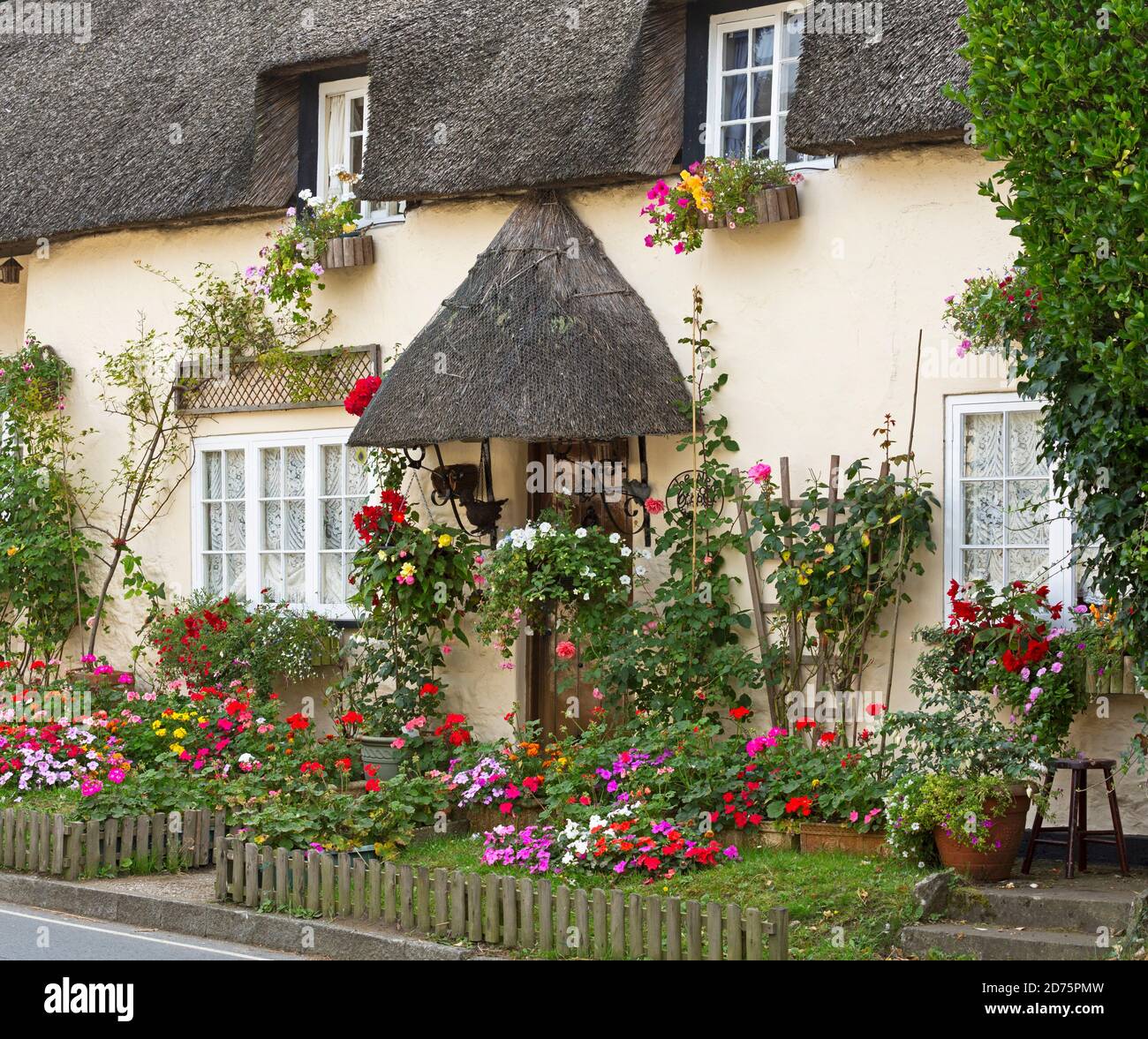 Graziosi fiori al di fuori di un tetto di paglia cottage in West Lulworth, Dorset Foto Stock