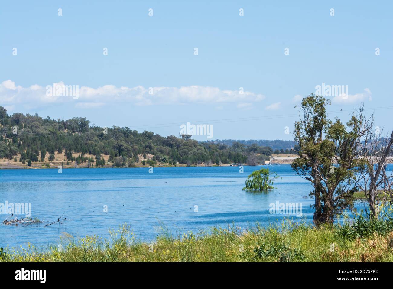 Diga di Quipolly a piena capacità. Ott 2020. Foto Stock