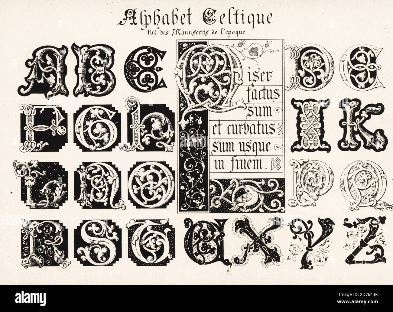 Lettere iniziali di un alfabeto celtico tratte da manoscritti