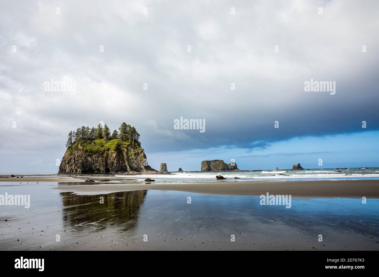 2a spiaggia a bassa marea, Olympic Coast National Marine Sanctuary / National Park, Washington, USA. Foto Stock
