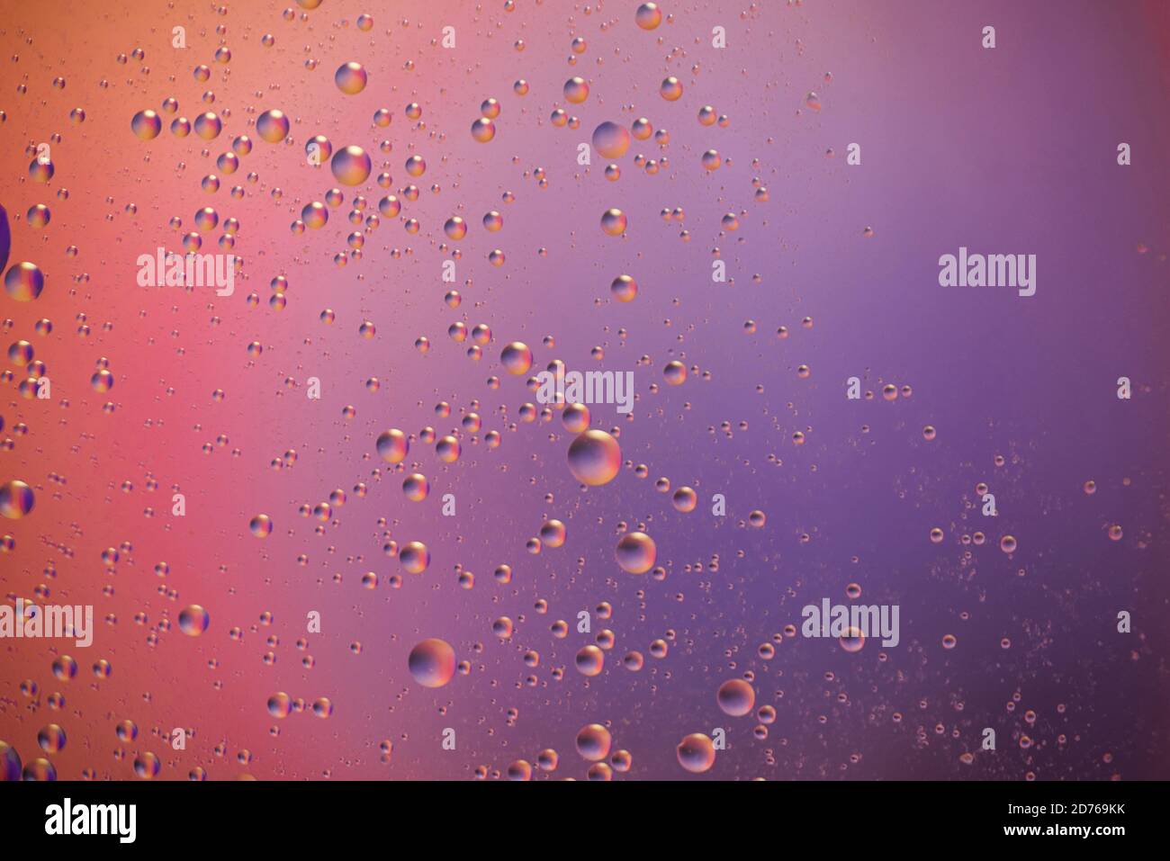 belle gocce di olio galleggiano caoticamente sull'acqua, colore di sfondo lilla, rosa, viola, blu. adatto per screensaver desktop di vari gadget Foto Stock