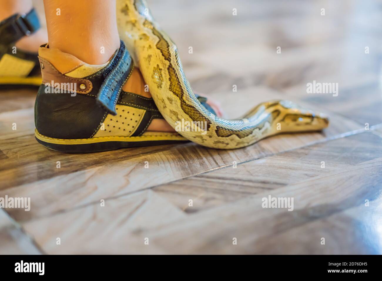 Ragazzo sorridente che tiene python nelle mani Foto Stock