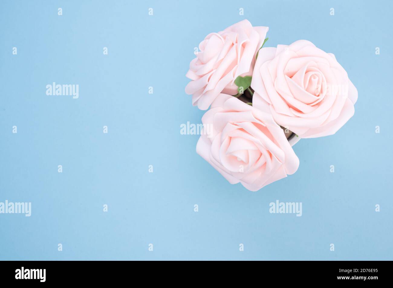 Vista dall'alto di tre rose artificiali rosa chiaro poste in una pentola isolata su sfondo blu Foto Stock