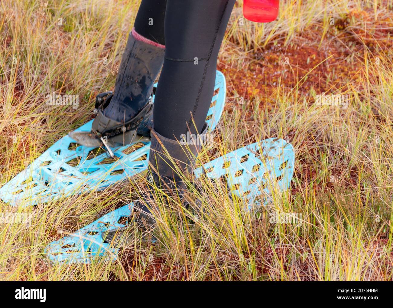 immagine con scarpe e stivali di palude e scarponi su uno sfondo di vegetazione tradizionale palude di torba, dipinto in autunno, erba, muschio copre il terreno Foto Stock