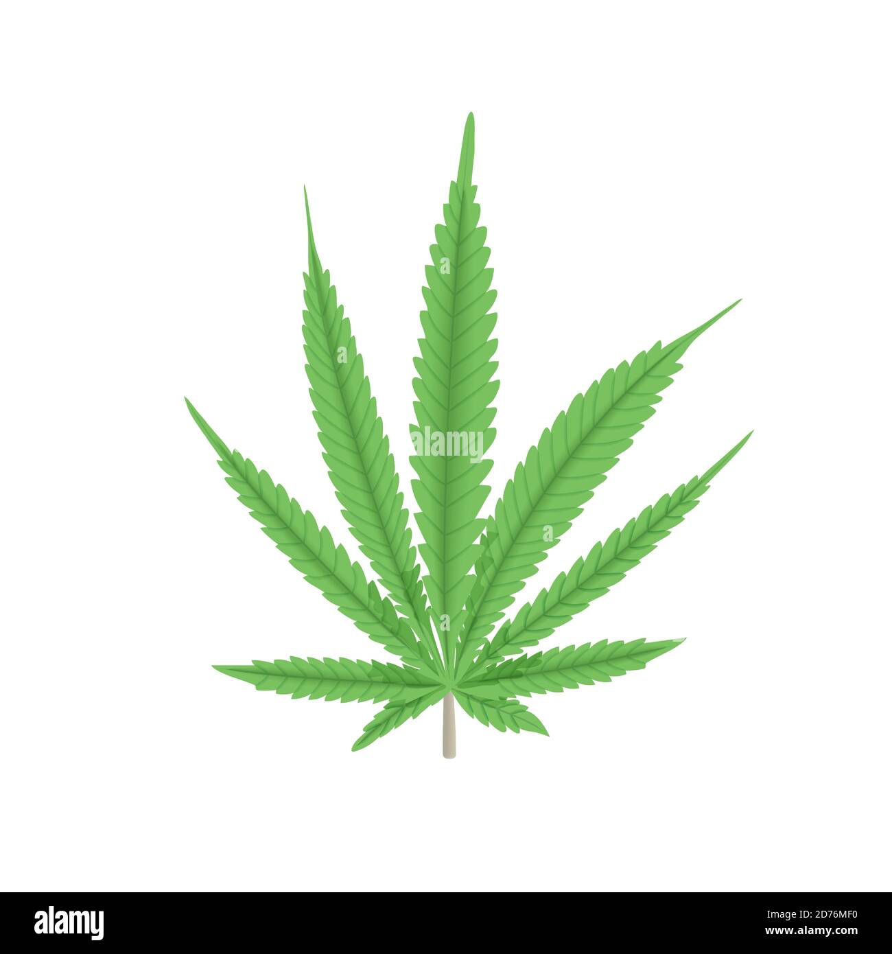 Illustrazione del vettore delle foglie verdi di cannabis. Pianta di canapa. Per medicina, tessile, abbigliamento, cordaggio, fibra, cibo Illustrazione Vettoriale