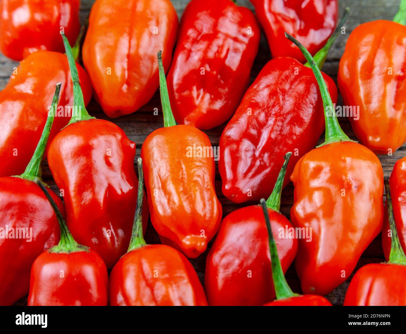 Peperoncini caldi assortiti e freschi Foto Stock